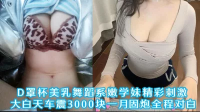 白天刺激车震全程对白